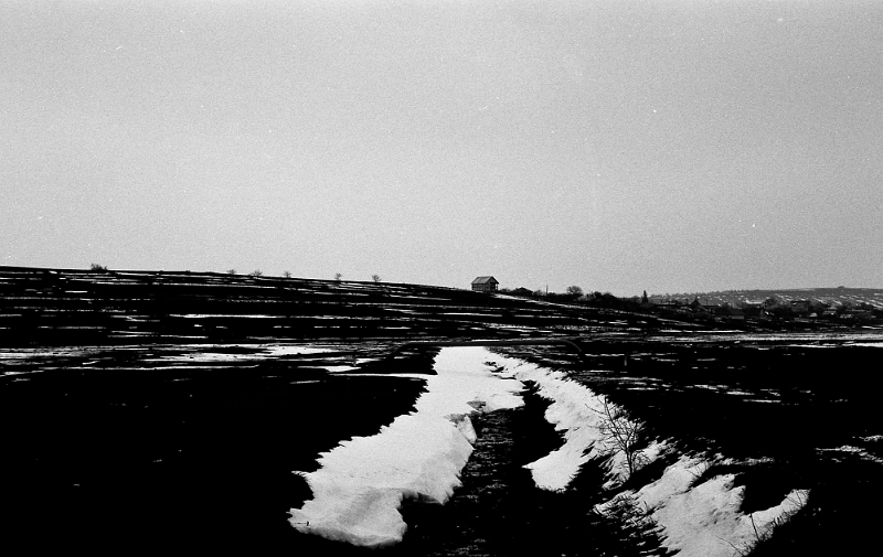 Ioana Țurcan - Moldavian river.jpg